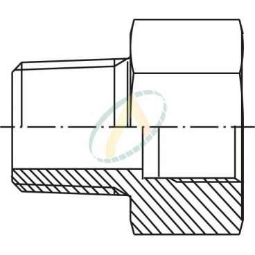 Réducteur droit mâle 2"...