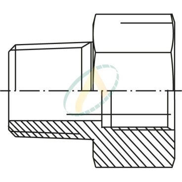 Réducteur droit mâle 1" NPT...