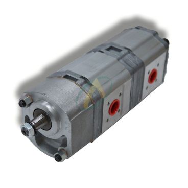 7014V/F Dionis Fructus Pompe RENAULT