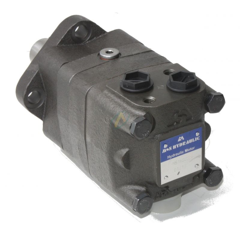 Moteur OMS 315 cm3  arbre cylindrique diamètre 32mm fixation 4 trous