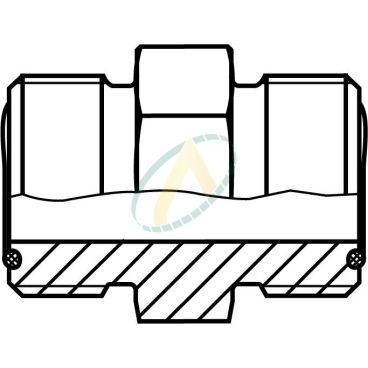 Union droit mâle 1"ORFS - mâle 1" ORFS