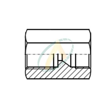 Union droit femelle 1/2 JIC...