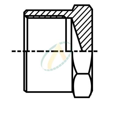 Bouchon obturateur Femelle...