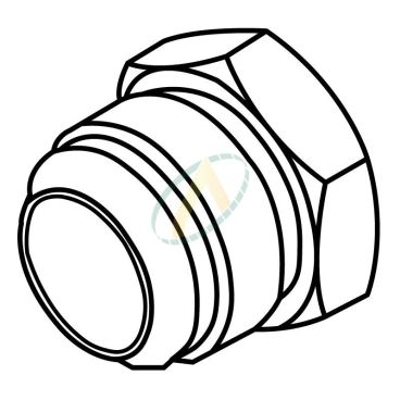 Bouchon mâle 3/4 JIC - Inox