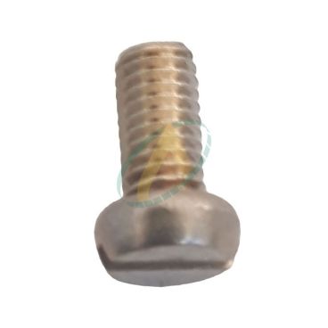 Vis cylindrique M 5x10