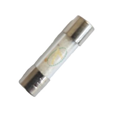 Fusible 2,5A M2,5/250e No.45g4