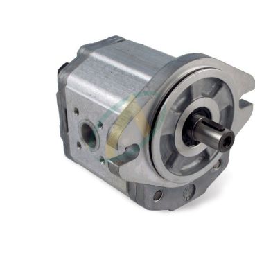 Pompe SAUER flasque 2 Trous...