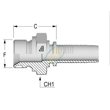 Embouts Mâle Normes BSPP 60°