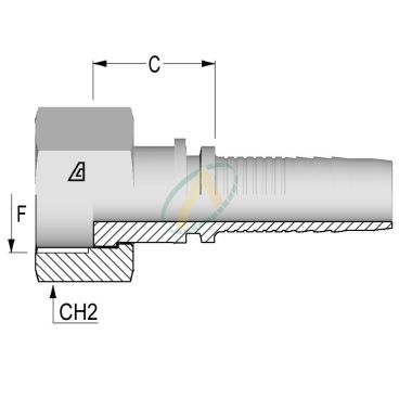 Embouts Femelle Normes BSP...