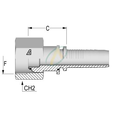 Embouts Femelle Normes BSP 60°