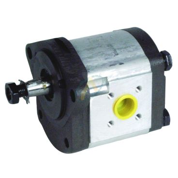 R45 R82 R98 32-50F/V 421 556S Pompe RENAULT