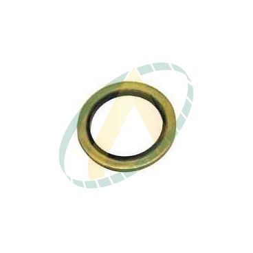 Bague d'étanchéité avec centrage pour raccord BS 22x150