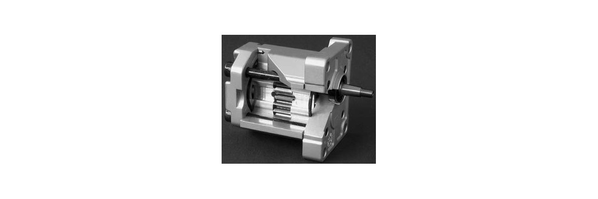 Moteur hydraulique à engrenages
