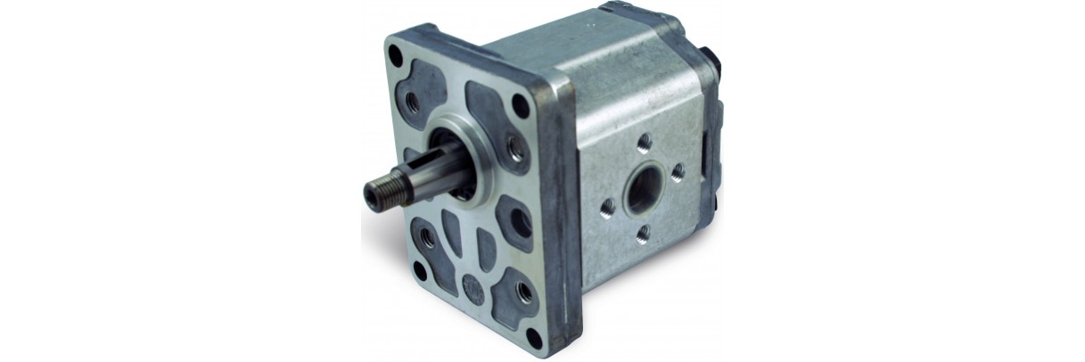 Pompe hydraulique pour centrale, plusieurs cylindrées au choix