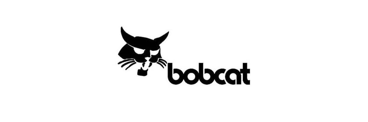 Pompe hydraulique pour engins Bobcat