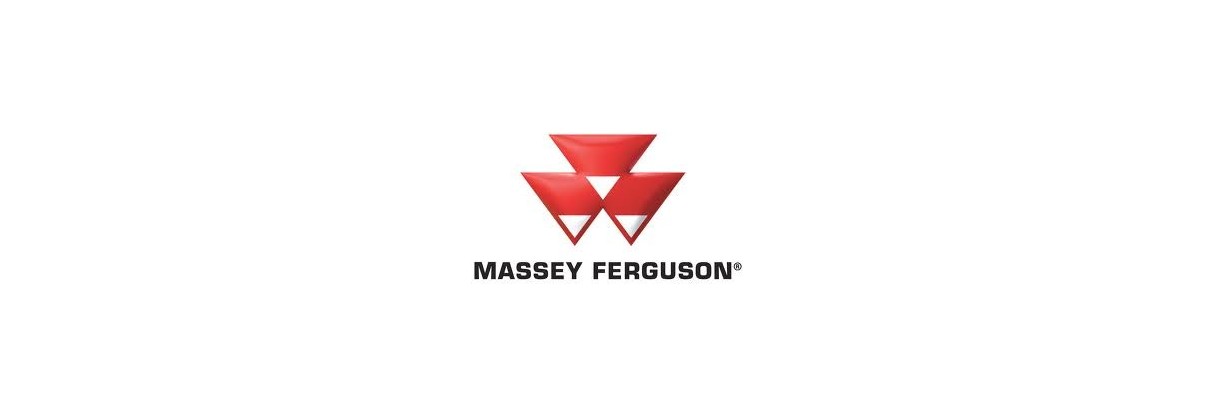 Pompes hydrauliques pour moissonneuse batteuse Massey Ferguson