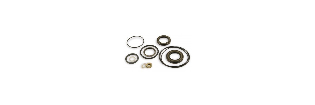 Pochettes de joints de moteur hydraulique