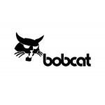 Bobcat