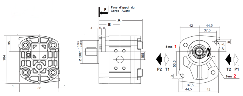 Groupe-2-flasquerectangle-Arbre-8-ID1538-2.jpg