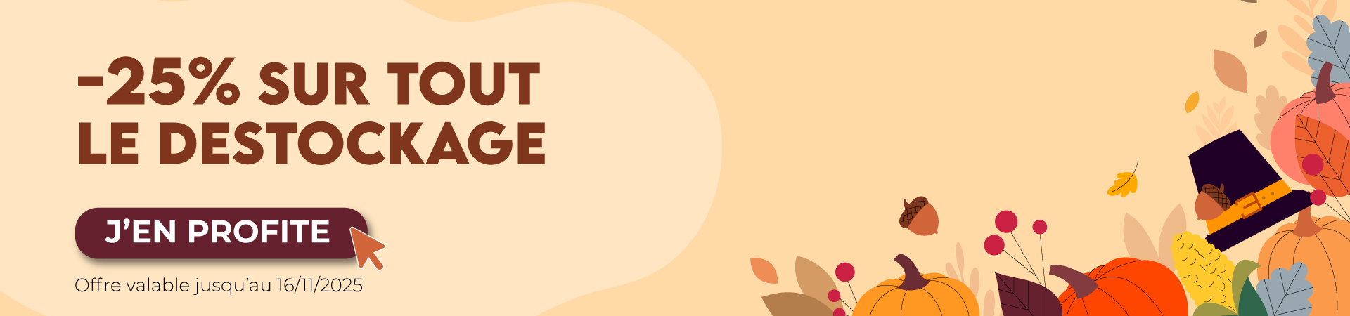 Dernière chance : -25% sur TOUT le déstockage !